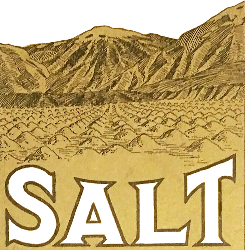 salt company